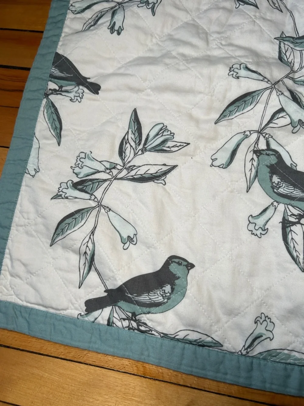 Coastal Grandma Botanical Bird Reversible Piped Border Pillow Shams Discontinued